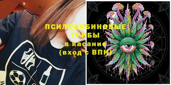 ГАЛЛЮЦИНОГЕННЫЕ ГРИБЫ Алексин