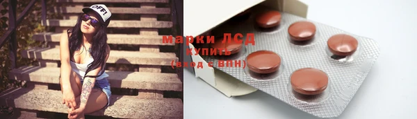 ГАЛЛЮЦИНОГЕННЫЕ ГРИБЫ Алексин