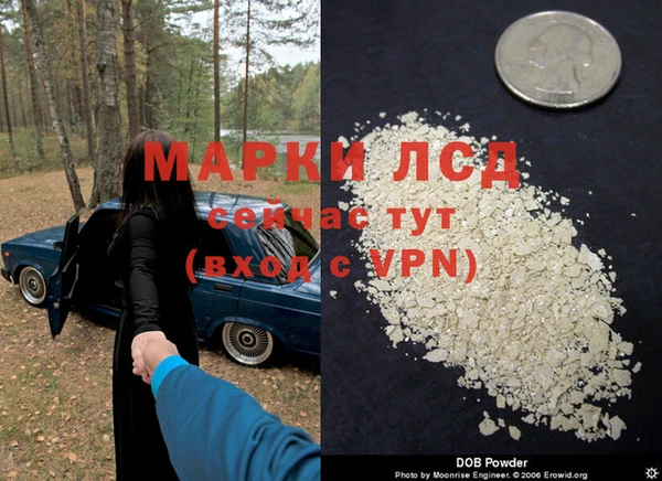 эйфоретик Абинск